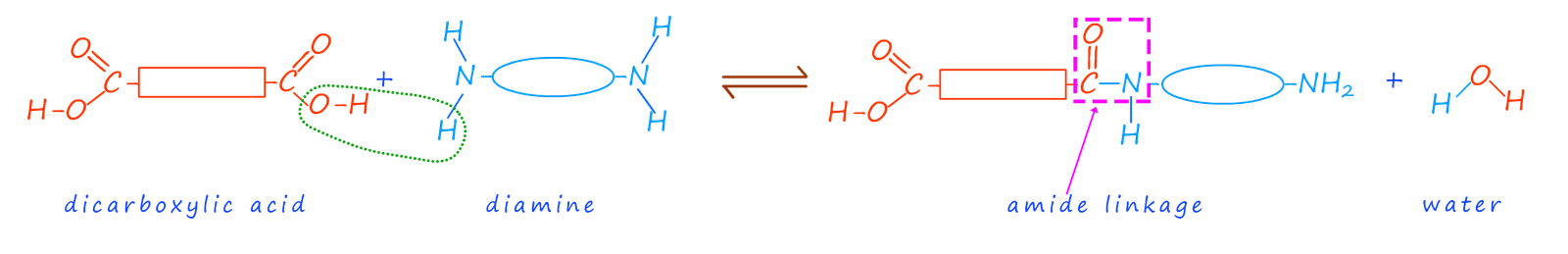 amide formation using a diacid and a diamine